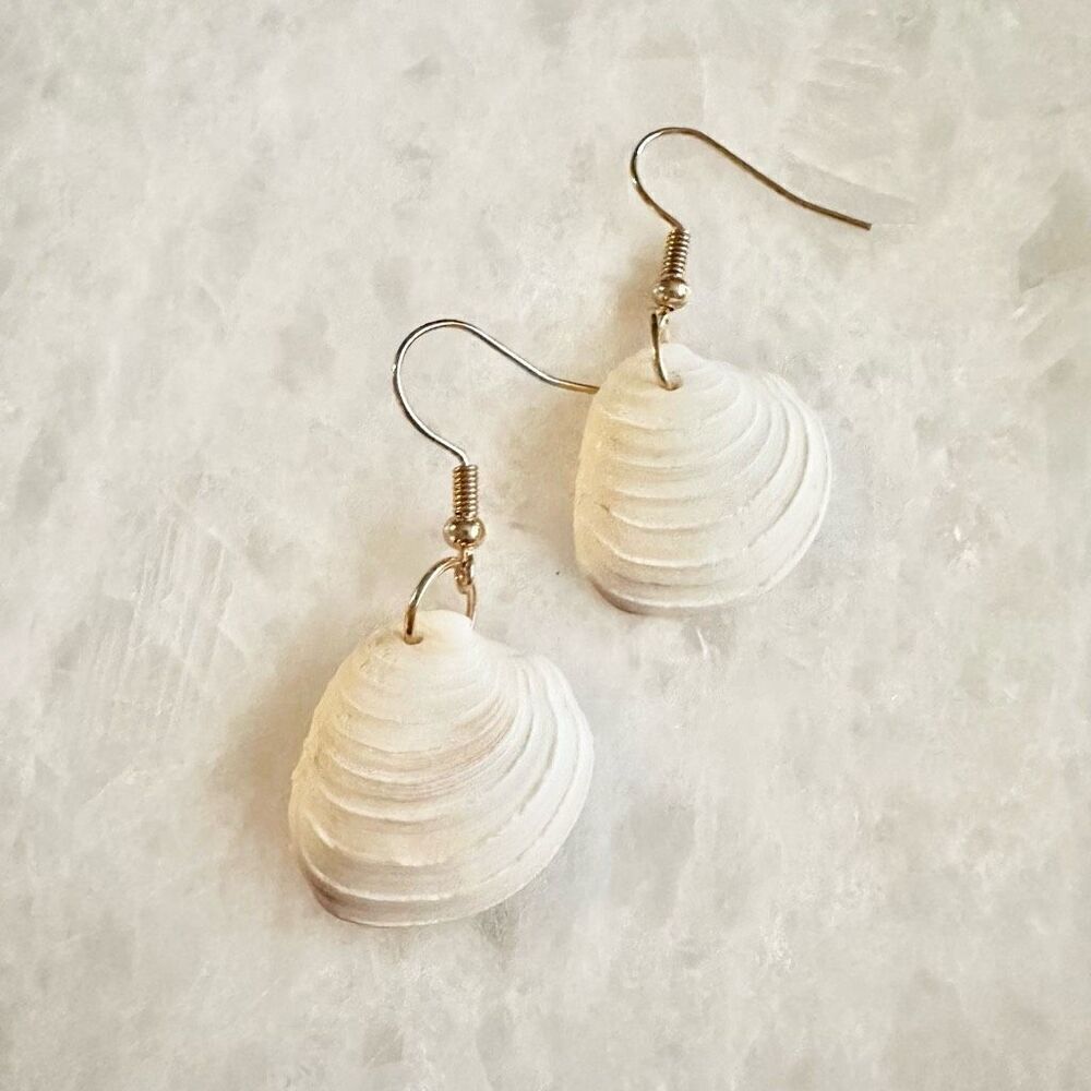 White seashell cute dangle earrings ￼